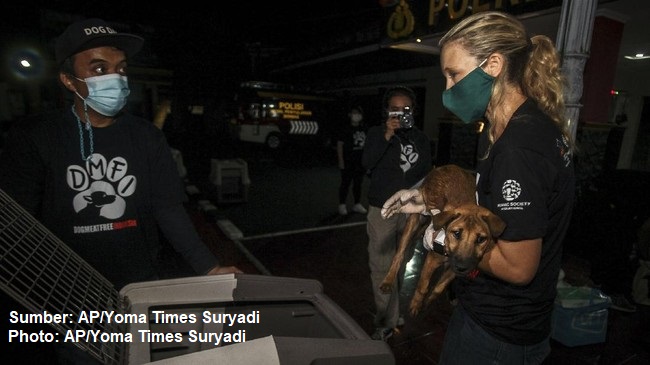 anggaran untuk rabies 